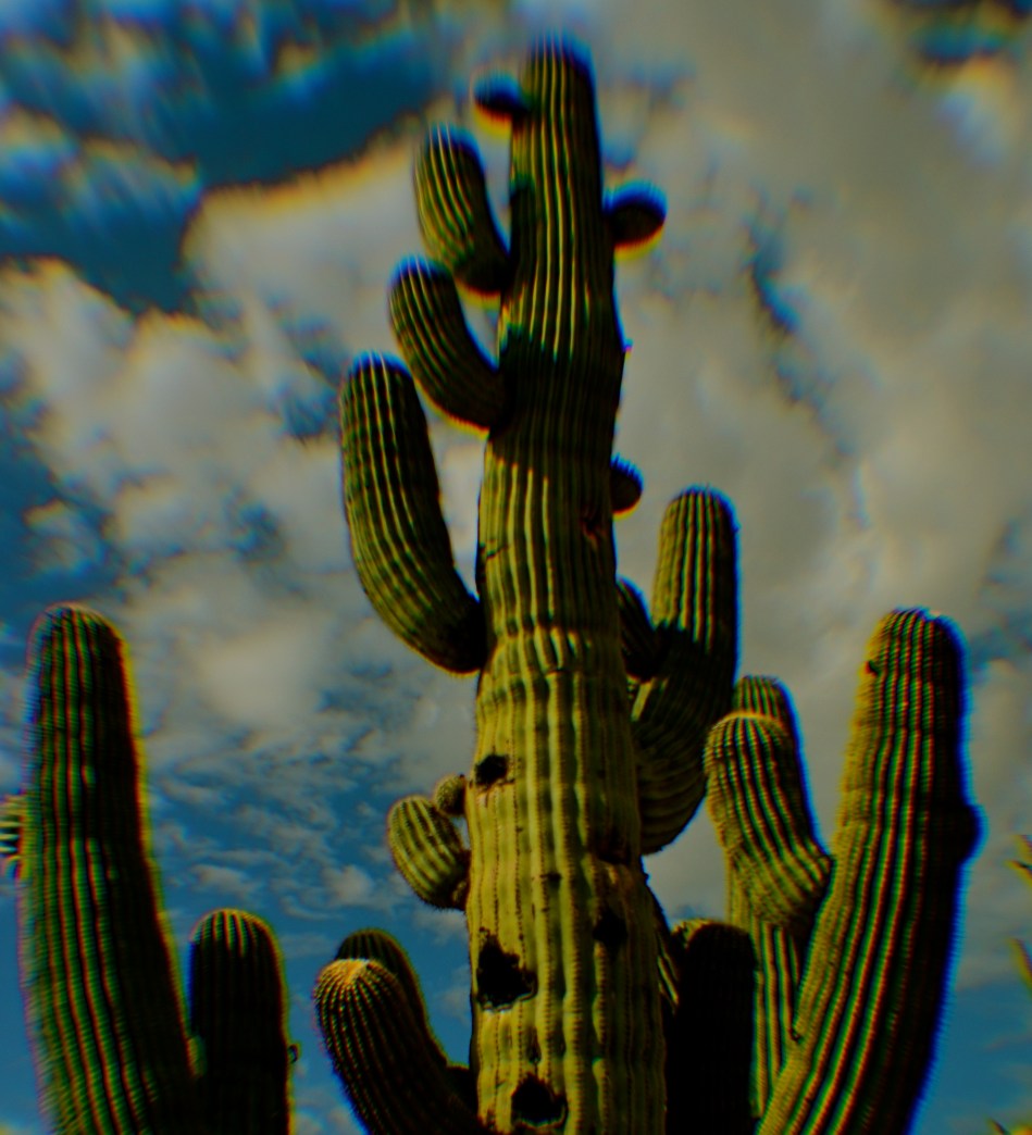 Extreme chromatic aberration (color fringeing) along the exterior line of the cactus. 