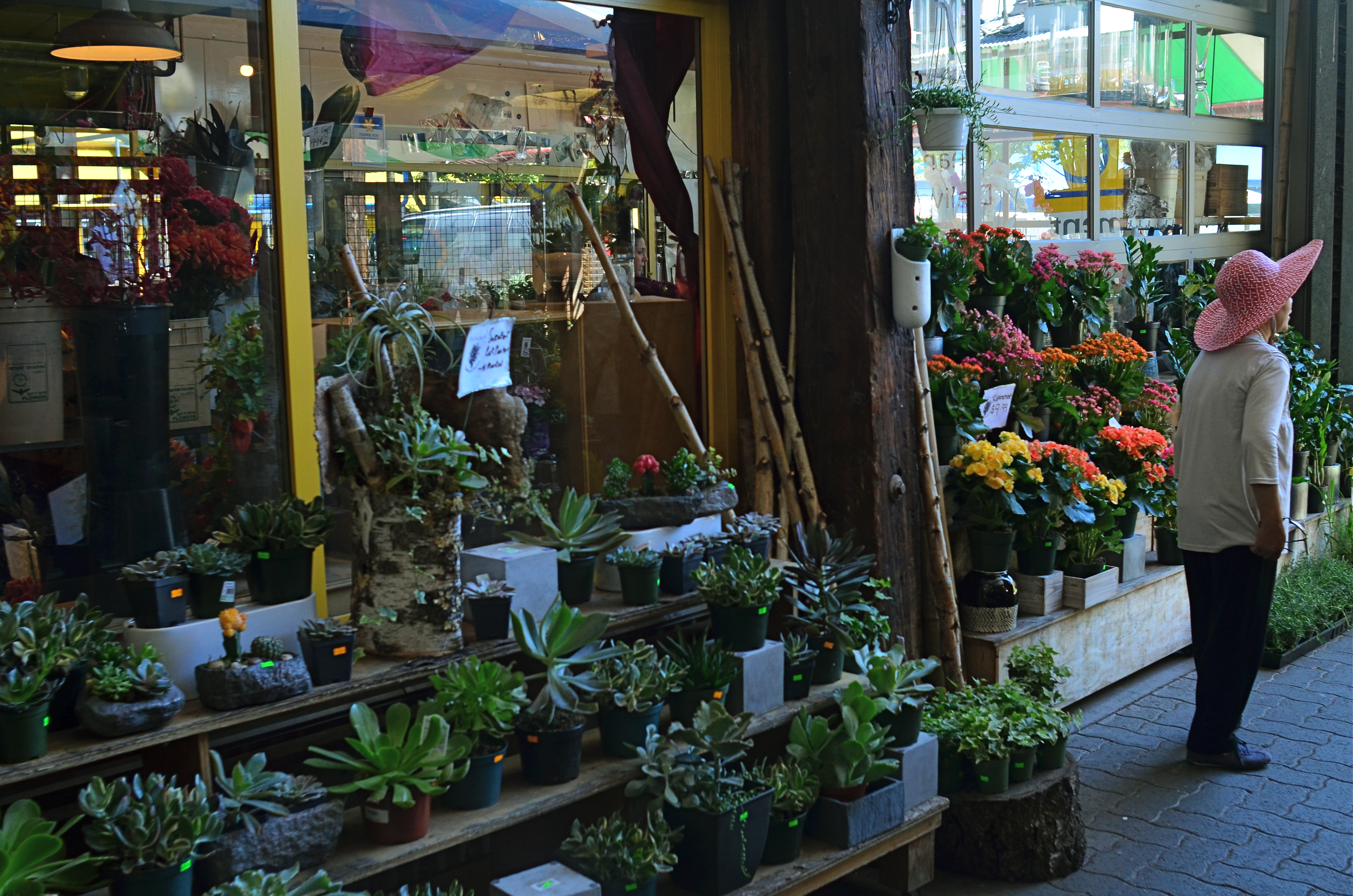 Mrs. Lin's Summer Bonnet (2016)