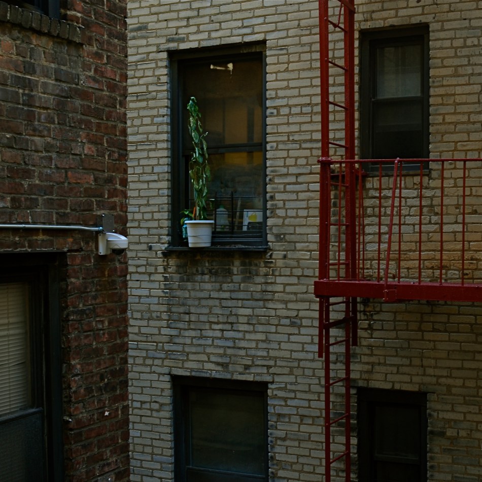 Act Of Faith #265 (2016)