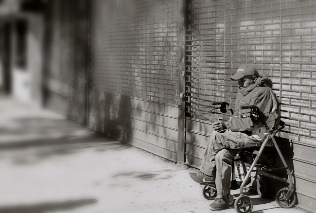 The same DSLR image with selective focus added via a phone-based app.