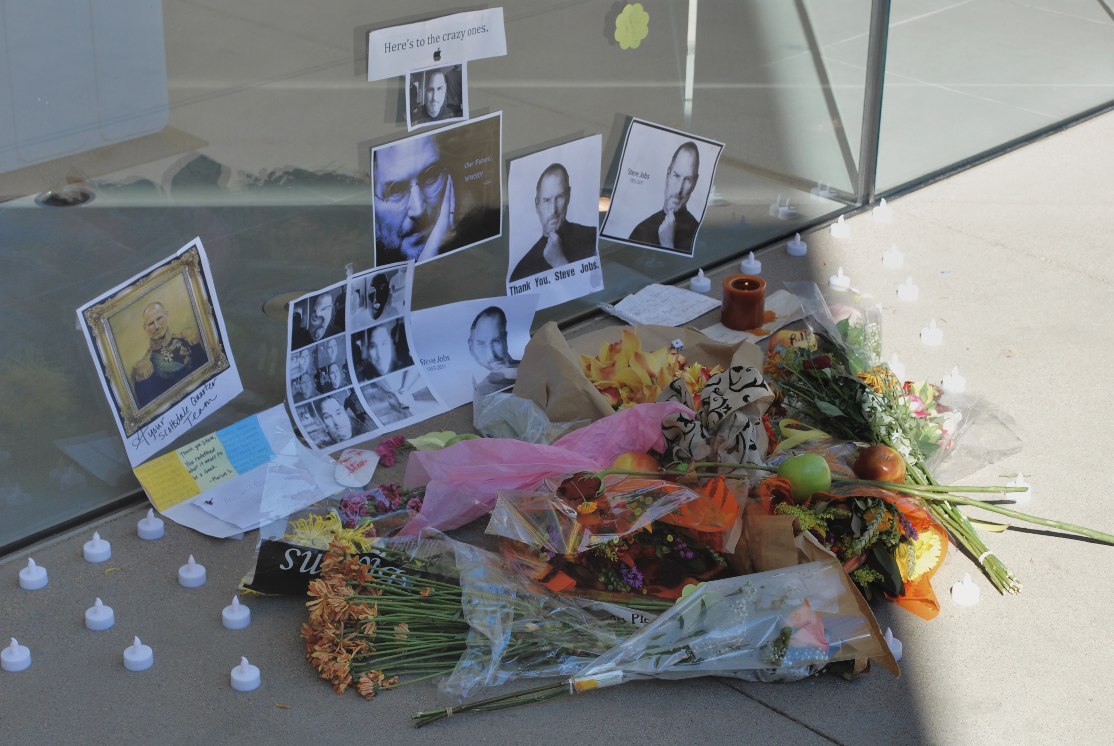 Steve Still Life 2011 EF