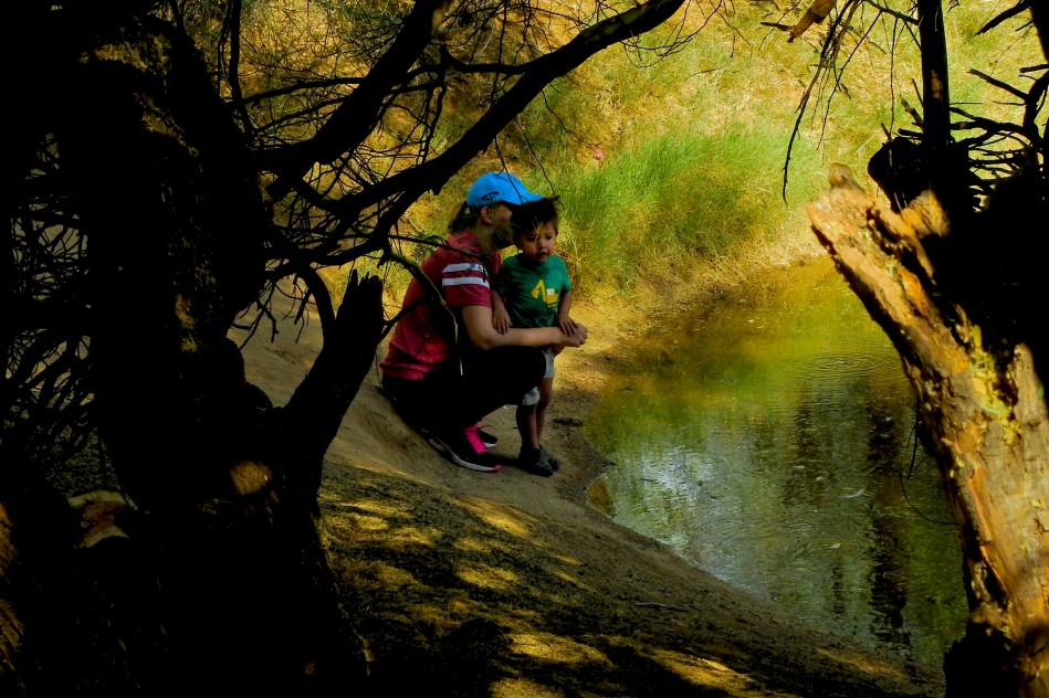 51207866184_71d52a7b1e_o