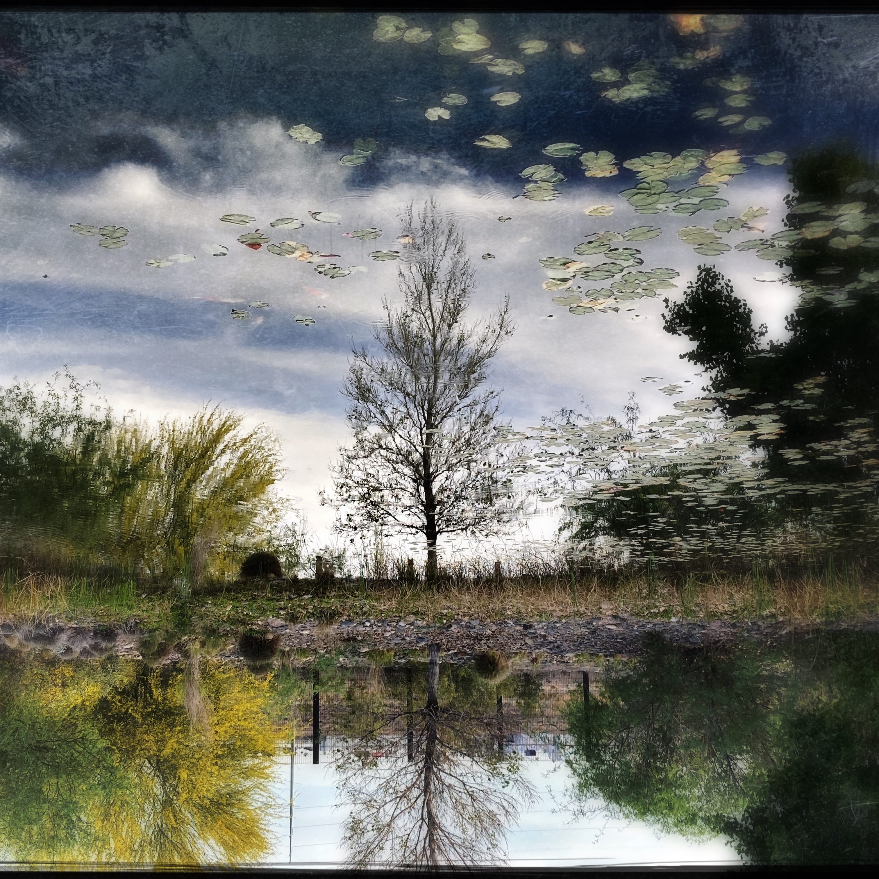 HipstamaticPhoto-670034619.511208