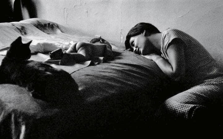 cbcc9b3d4b29431821b443d7c7165e04